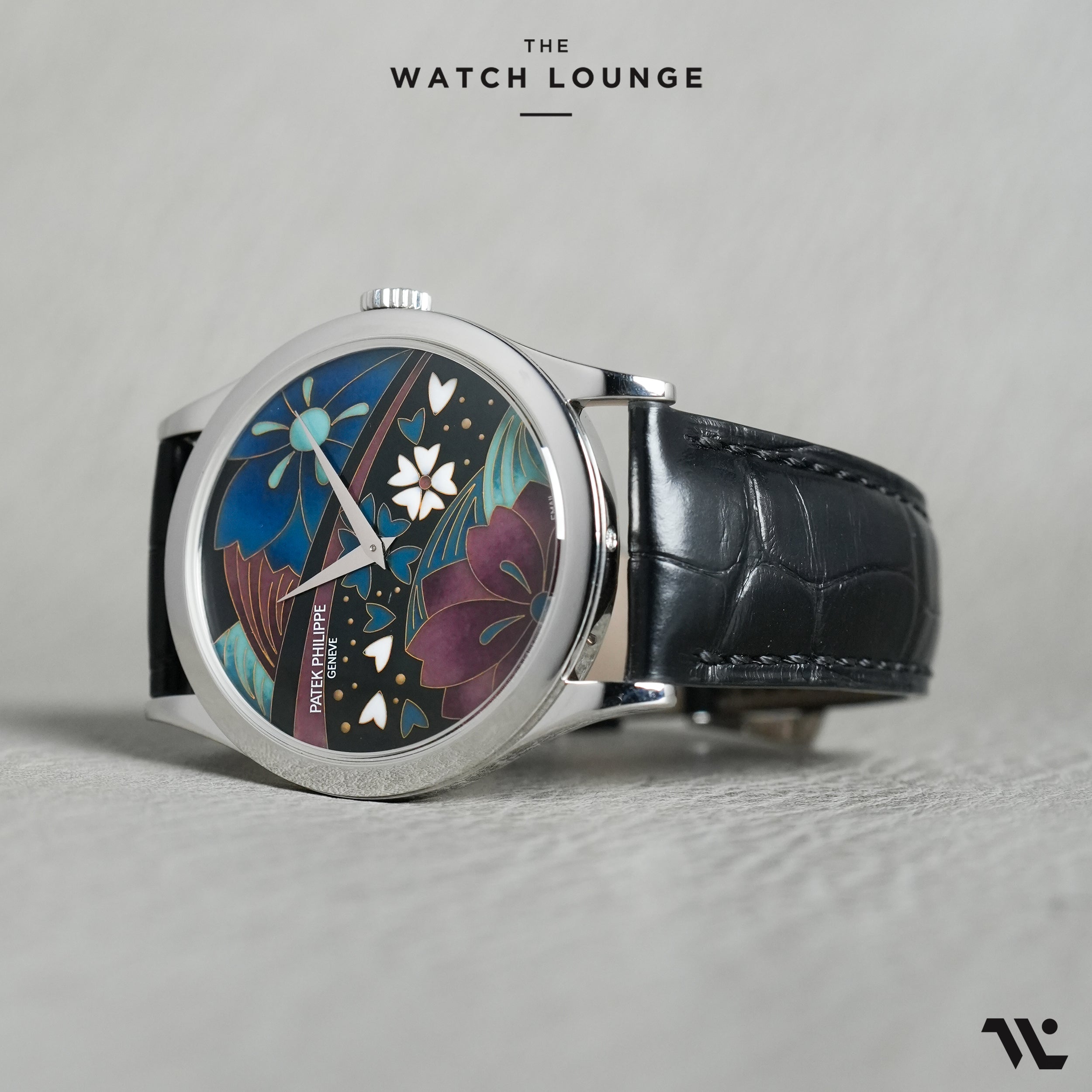 Calatrava with "Kimono" Enamel Dial in Platinum